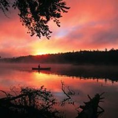 حسن طارق سعودي