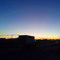 mesquite413
