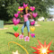 User 517011057