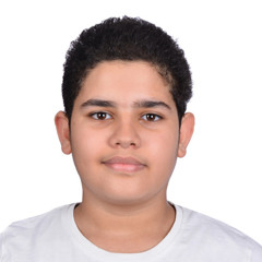 rayan.sawi