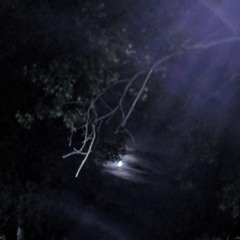 Endmire