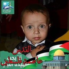 احمد حسن مأذون شرعى