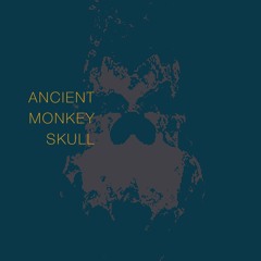 Ancient Monkey Skull
