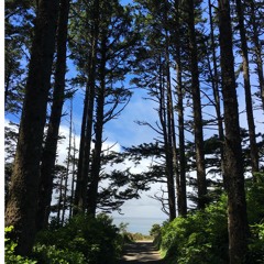 The Anything Podcast