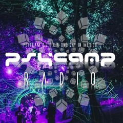 PsyCamp Radio Mexico