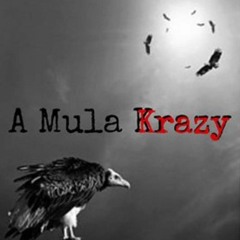 MulaKrazy