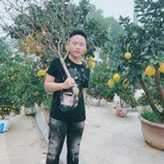 Hoàngg Hiếu