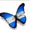 flly