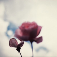 sweet_t4u