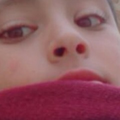 tahabigi05