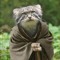 Wise Catt