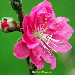 thaicv.hnue