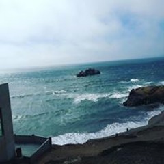 new