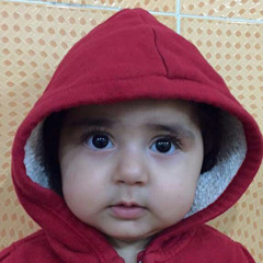 Mahmud Jaff
