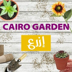 Cairo Garden