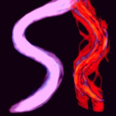 Dasypus