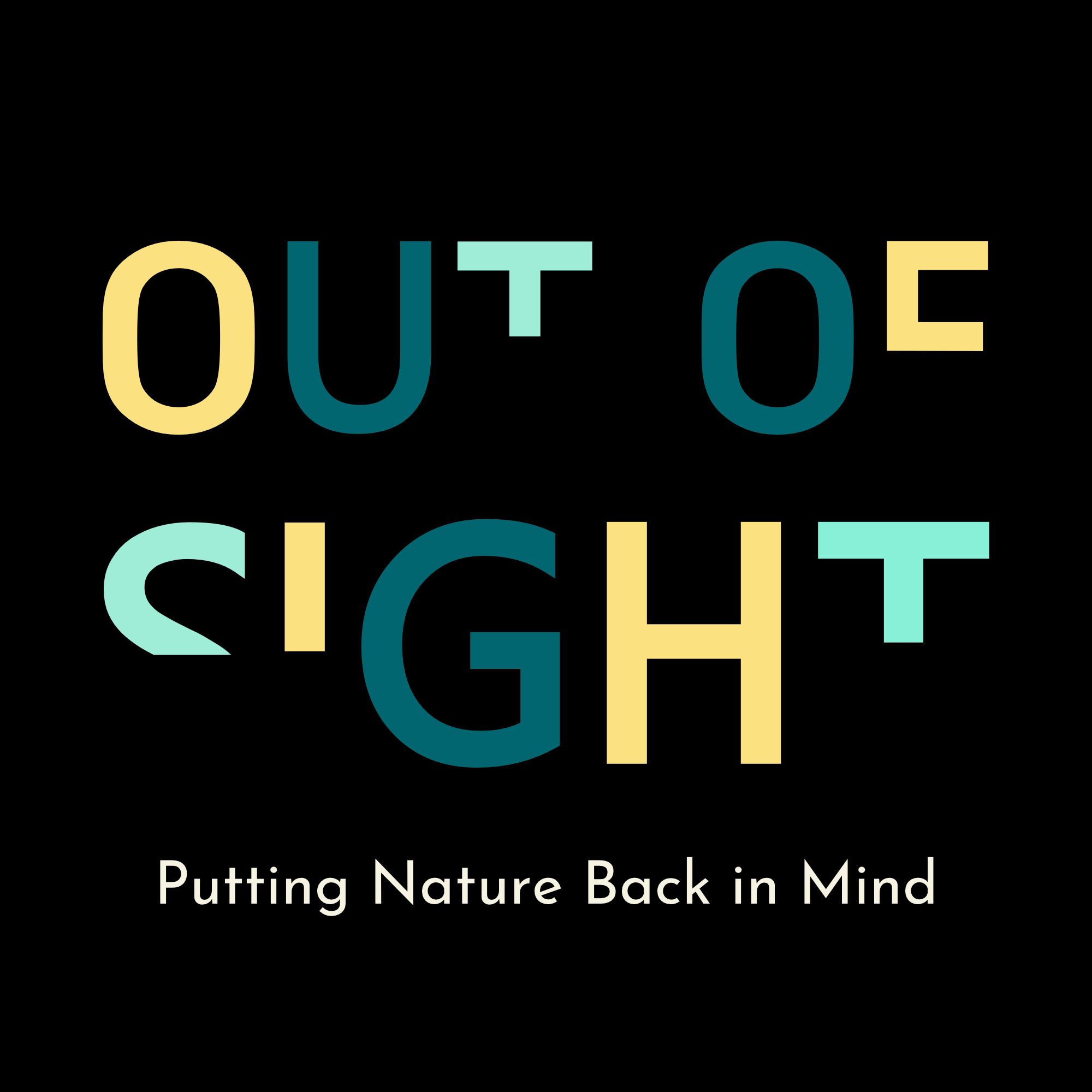 Out of Sight Stories