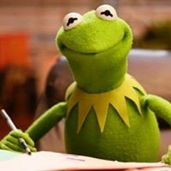 Flipin kermit da frog