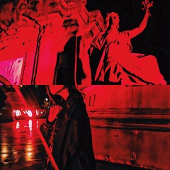 The Halfish Experience