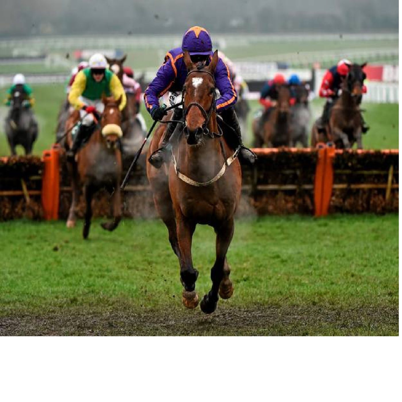 Cheltenham 2023 Preview - Long Shot Value