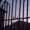 chimsau248