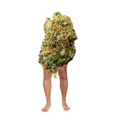 weedlegs’s avatar