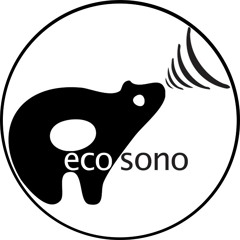 EcoSono