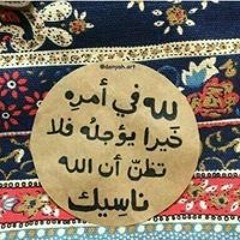 Mohamed Naguib N