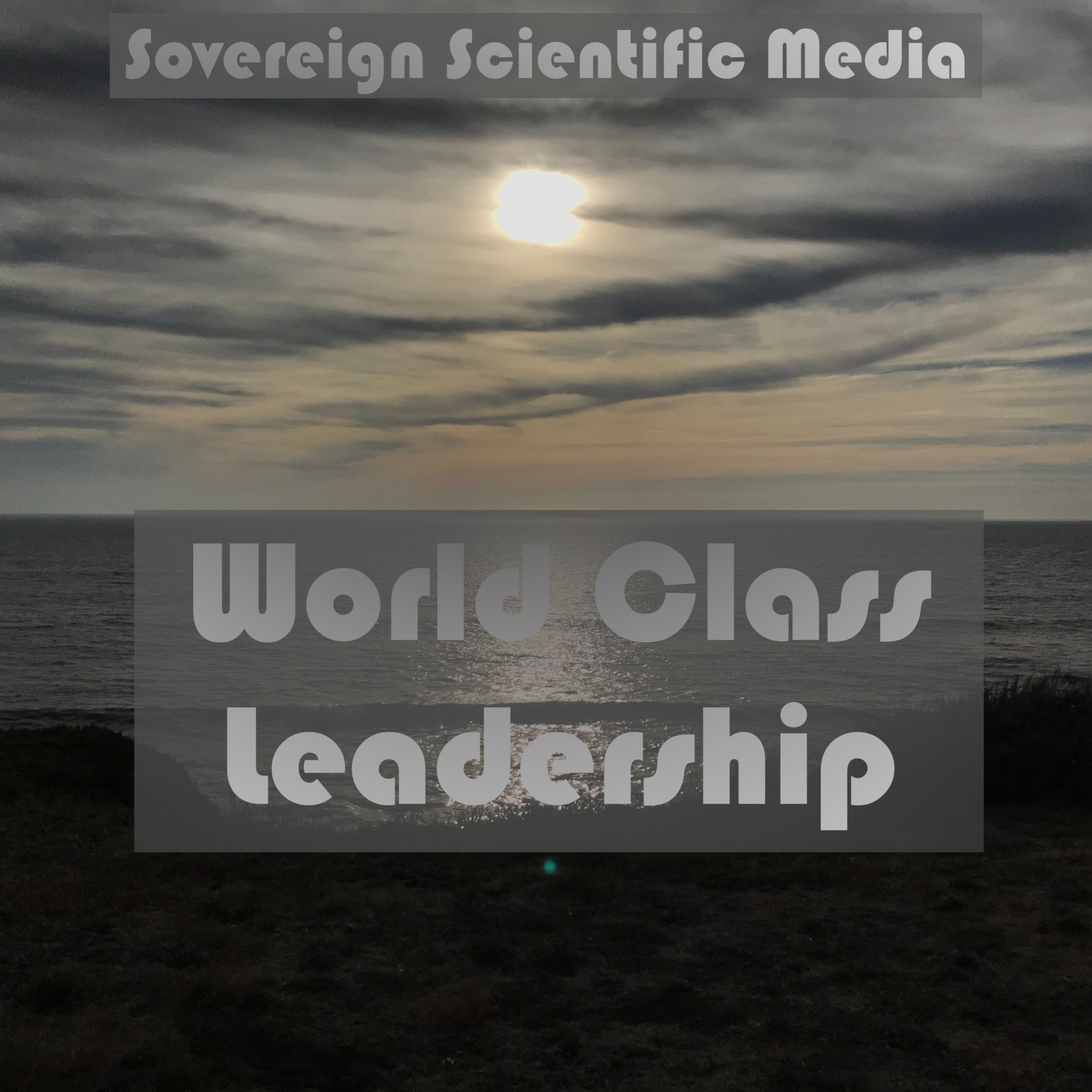 World Class Leadership