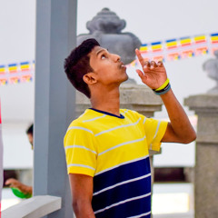 dnadanushka