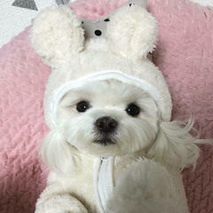 dear.yeon