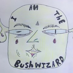 I AM THE BUSHWIZARD
