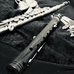 Profane Jazz [one man band]