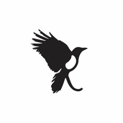 RAVEN RAY MUSIC