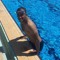 Mohamed Sobhy
