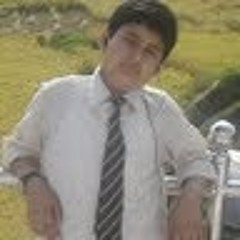 binit.sherstha760