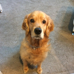 musicalweirdfangirl59