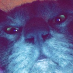 tokey