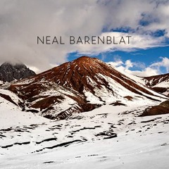 Neal Barenblat