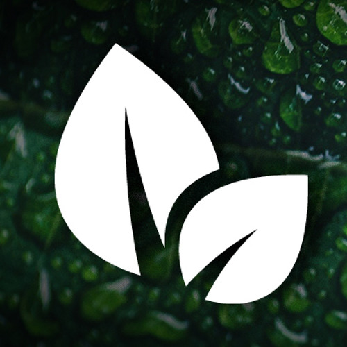 Wet Leaf’s avatar