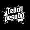 TEAM PESADA MUSIC