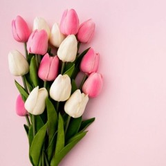 farida_fekri