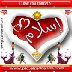 اسلام تمساح