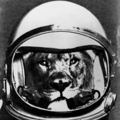 Wellstar Productions