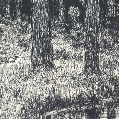 _______________________