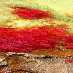 6tx8e5GnLeAdrianna  t