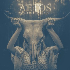 (AETOS)