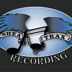 Patrick Shea Guitarist