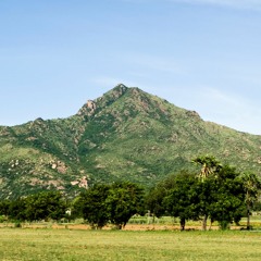 krukdror