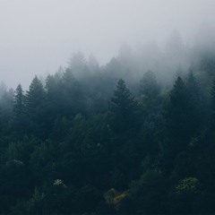 Recoderlights